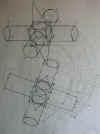 Cercone L 9495.JPG (20003 byte)