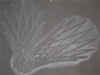 Mariani P 9192.JPG (33242 byte)